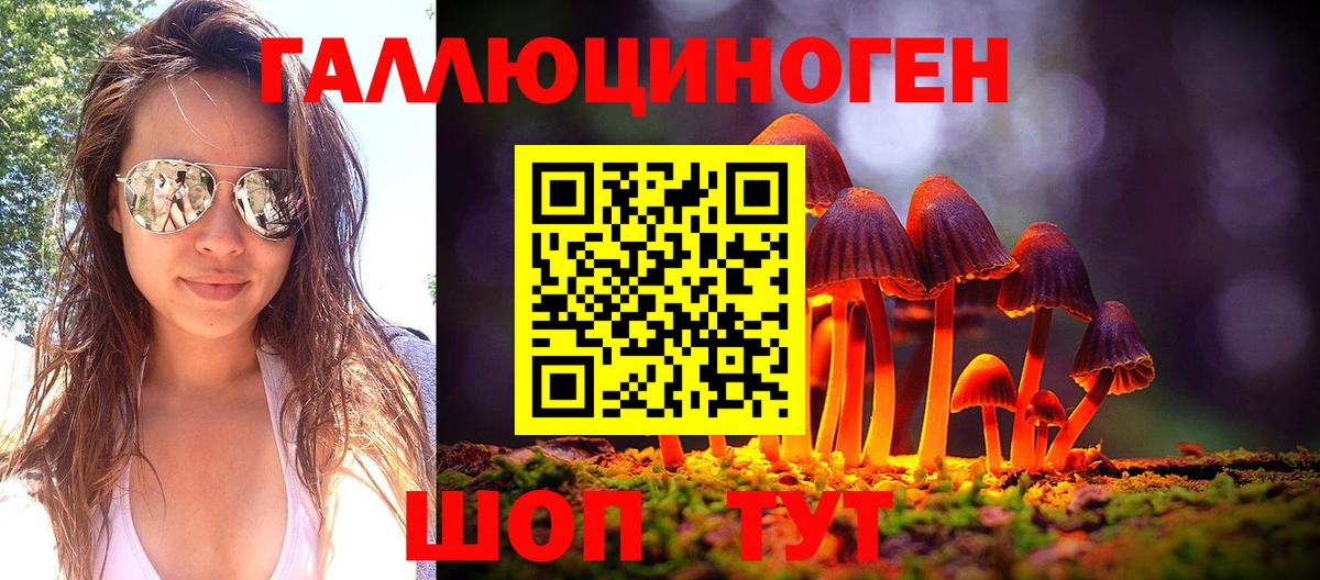 Псилоцибиновые грибы мицелий  Вход с VPN  Галлюциногенные грибы прущие грибы  Черняховск 