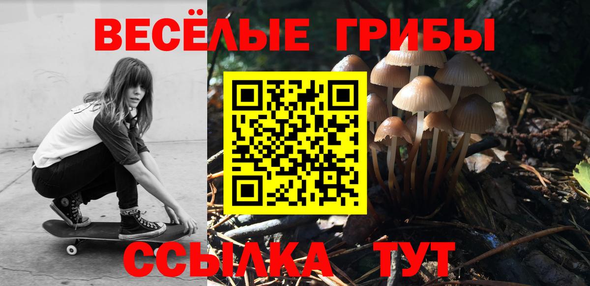 Псилоцибиновые грибы мицелий Черняховск